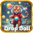 プログラムのアイコン：Drop Ball