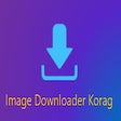 Icon of program: Image Downloader Korag