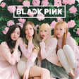 プログラムのアイコン：Blackpink Wallpaper HD 20…