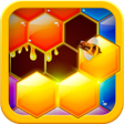 程序图标：Hexa Hive Puzzle : hexago…