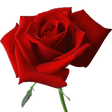 Daily Poem Book icon