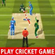 Play IPL Cricket League Game