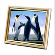 Icône du programme : Free Photo Frame