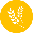 Ícone do programa: Kharif Crop Survey DES 20…