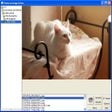 Icon of program: Plumeria Image Sorter