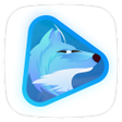 Ícone do programa: FoxFM Video Player