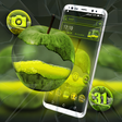程序图标：Green Apple Launcher Them…