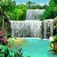 Icon of program: Free Living Waterfall 3