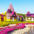 程序图标：Flowers Garden Wallpaper