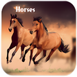 プログラムのアイコン：Horses Neighing