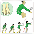 程序图标：volleyball technique