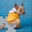 Programikonen: Jigsaw HD