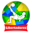 程序图标：Futebol Libertadores 2018