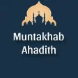 Muntakhab Ahadith - In Urdu