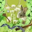 Symbol des Programms: うさぎ壁紙 Rabbit and Happines…