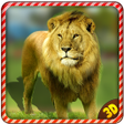 Icon of program: Wild Angry Lion Revenge S…