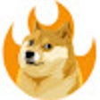 Icon of program: Doge Burner