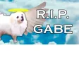 RIP Gabe The Dog