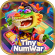 Ícone do programa: Tiny NumWar
