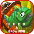 Feed And Grow  The Fish Game