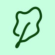 程序图标：Kale - Creator Rewards