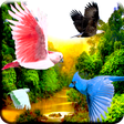 Icon of program: Forest River Live Wallpap…