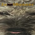 Programın simgesi: Snoot Runner