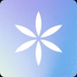程序图标：Project Transcend