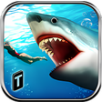 程序图标：Angry Shark 2016