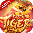 Ícone do programa: Fortune Tiger