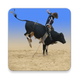 程序图标：Learn Bull Riding