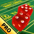 程序图标：Casino Craps Pro 3D