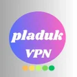 ไอคอนของโปรแกรม: PLADUK VPN