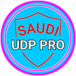 プログラムのアイコン：Saudi UDP Pro