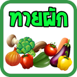 ไอคอนของโปรแกรม: เกมทายชื่อผัก