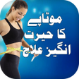 程序图标：Motapay ka ilaj: Weight L…