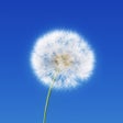 Icon of program: Access Consciousness