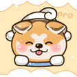 Programikonen: CorgiMemo Pro