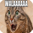 程序图标：Imagenes de humor 3