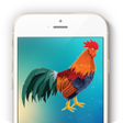 プログラムのアイコン：Ringtones of the Rooster