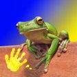 プログラムのアイコン：Play  Learn Animal Flashc…