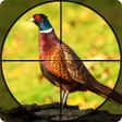 Ikon program: Pheasant Shooter Birds Hu…