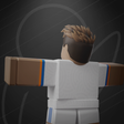 Icon of program: SLPN REWORK