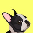 Icon of program: EveryDoggy - Dog Training…