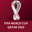 程序图标：Qatar 2022 World Cup