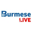 プログラムのアイコン：Burmese Live