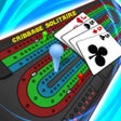 Cribbage Solitaire Challenge icon