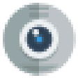 Icon of program: Security Camera Viewer