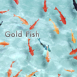 プログラムのアイコン: Gold Fish Theme