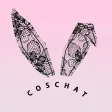 CosChat - Secret Video Chat